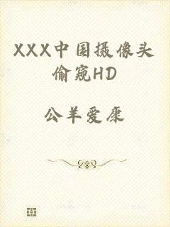 XXX中国摄像头偷窥HD