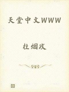 天堂中文WWW