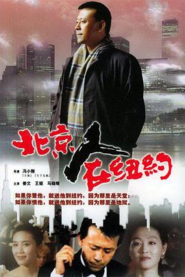 北京人在纽约电视剧什么时候开播的海报剧照