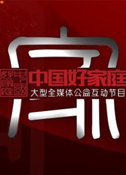 中国好家庭电视剧免费观看海报剧照