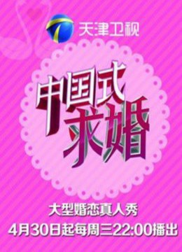 中国式求婚2014海报剧照