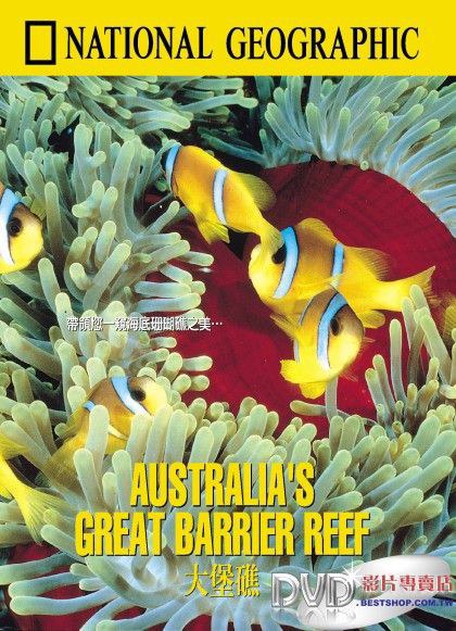 大堡礁的形成过程视频海报剧照